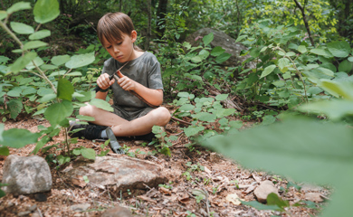 A boy sits crosslegged in on the forest floor amongst rocks and flora carving a stick at Asheville homeschool class