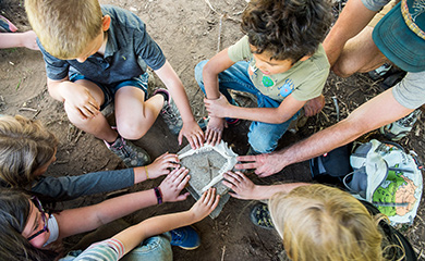 Children examining bones found exploring the forest during nature connection program