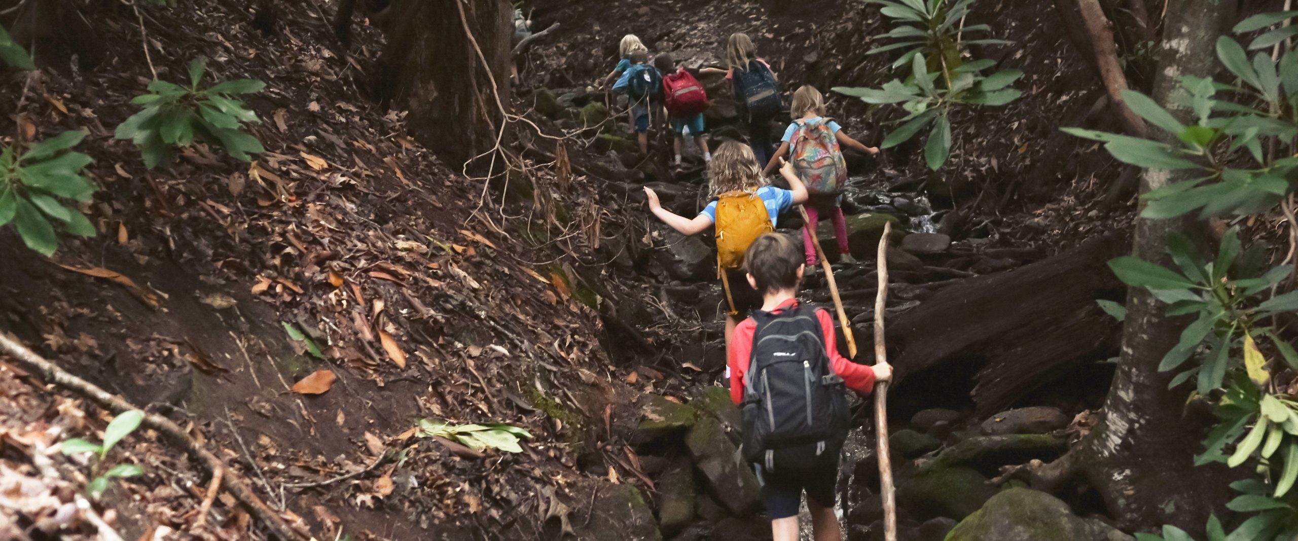 Children climbing into the mountains along a creek at Asheville nature school