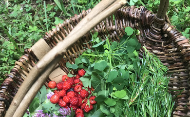 A handmade basket made at teen summer camp for handmade craft