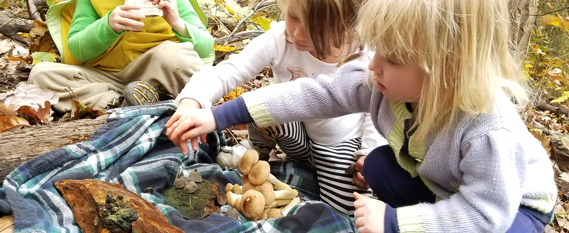 Harvesting edible plants and mushrooms during Asheville nature connection homeschool program