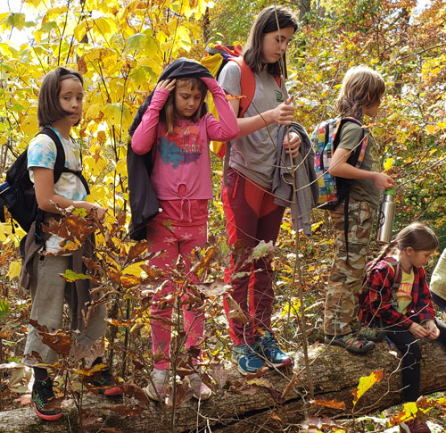 Homeschool kids exploring the forest during early fall class