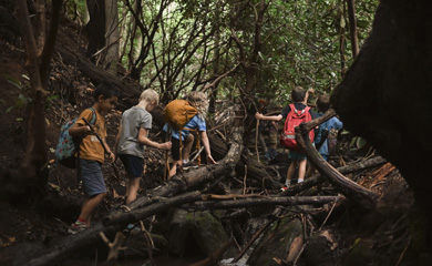 Summer camp role playing at Journey of the Green Man, an Asheville summer camp