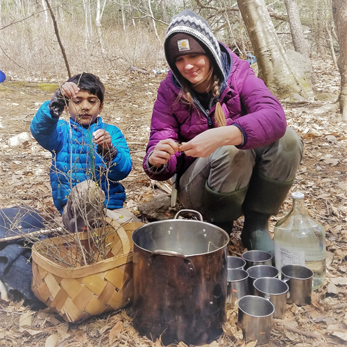 Homeschool student learning to make tea from gathered plants in the forest