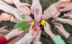 Campers holding forth a variety of herbs and natural plant remedies at Asheville nature camp