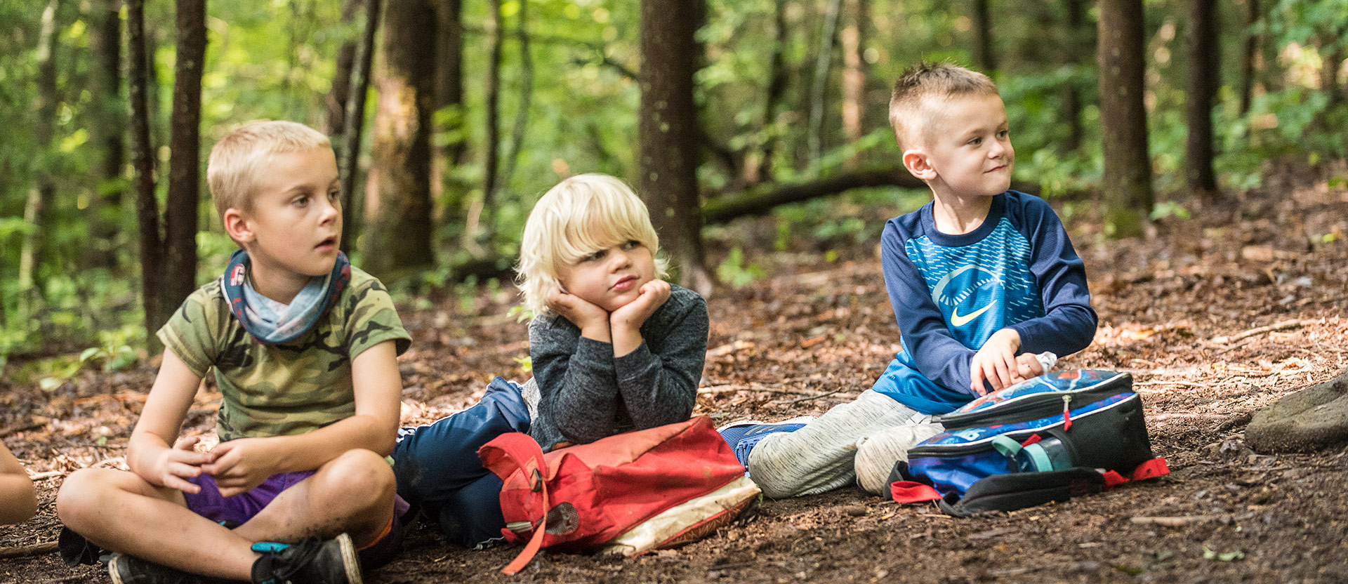 Three young boys seated in the forest beginning their nature connection mentoring journey